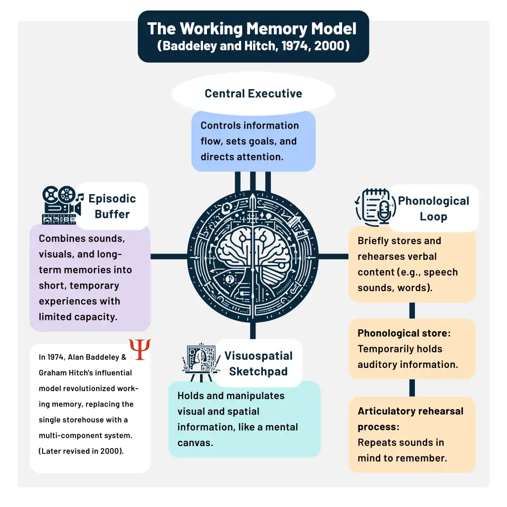 Baddeley werkgeheugenmodel