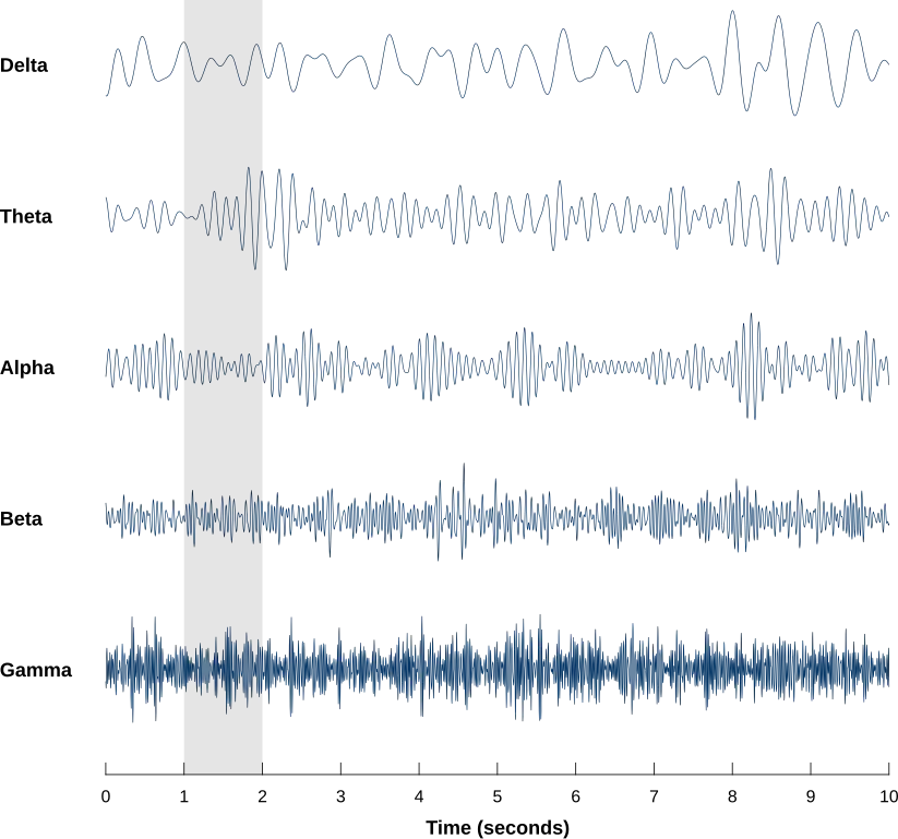 EEG brainwaves